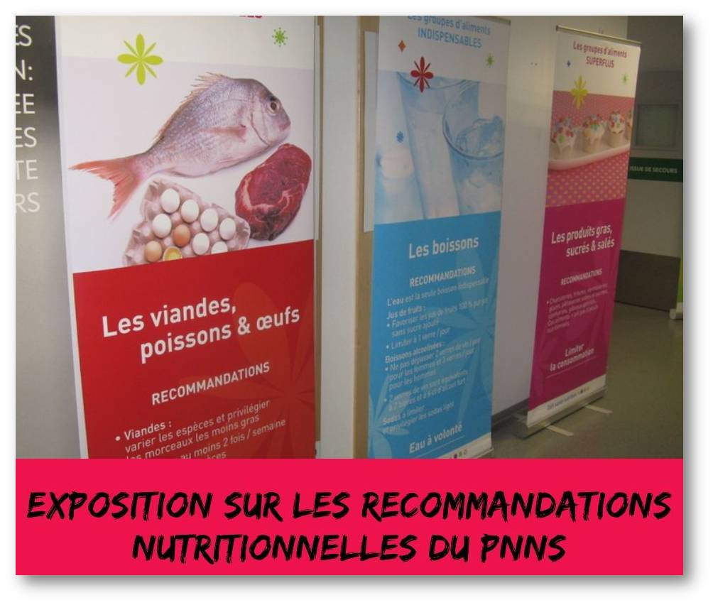 création d'une exposition de plusieurs panneaux sur les recommandations alimentaires et de l'activité physique du PNNS